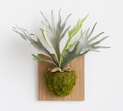 Faux Mounted Staghorn Ferns