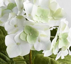 Faux White Hydrangea