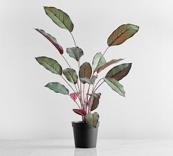 Faux Grey Star Plant