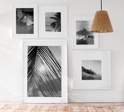 Palm Sun by Leco Moura