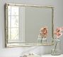 Silver Bamboo Frame Wall Mirror