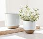 Quinn Stoneware Outdoor Planters
