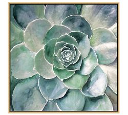 Garden Succulent Canvas