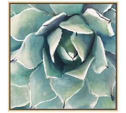 Garden Succulent Canvas