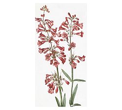 Red Wildflowers Wall Art