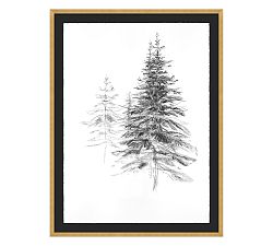 Tree Study In Fog by Lauren Herrera