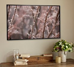 Frozen Garden By Ana V Ramirez