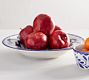 Puebla Porcelain Wide Rim Serving Bowl