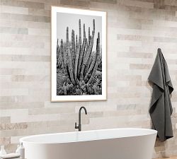 Cactus Tubes Framed Print By Lannie Hall