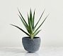 Faux Potted Spike Aloe