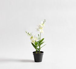 Faux Potted Mini Orchid
