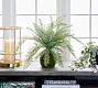 Fern and Moss Bonsai Sphere