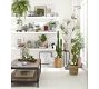 Faux Potted Mini Southern Maiden Hair Fern Houseplant