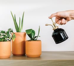 Modern Plant Mister &amp; Pruning Shears - Set of 2