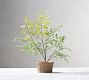 Faux Potted Mini Southern Maiden Hair Fern Houseplant