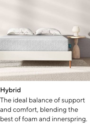 Shop Hybrid image
