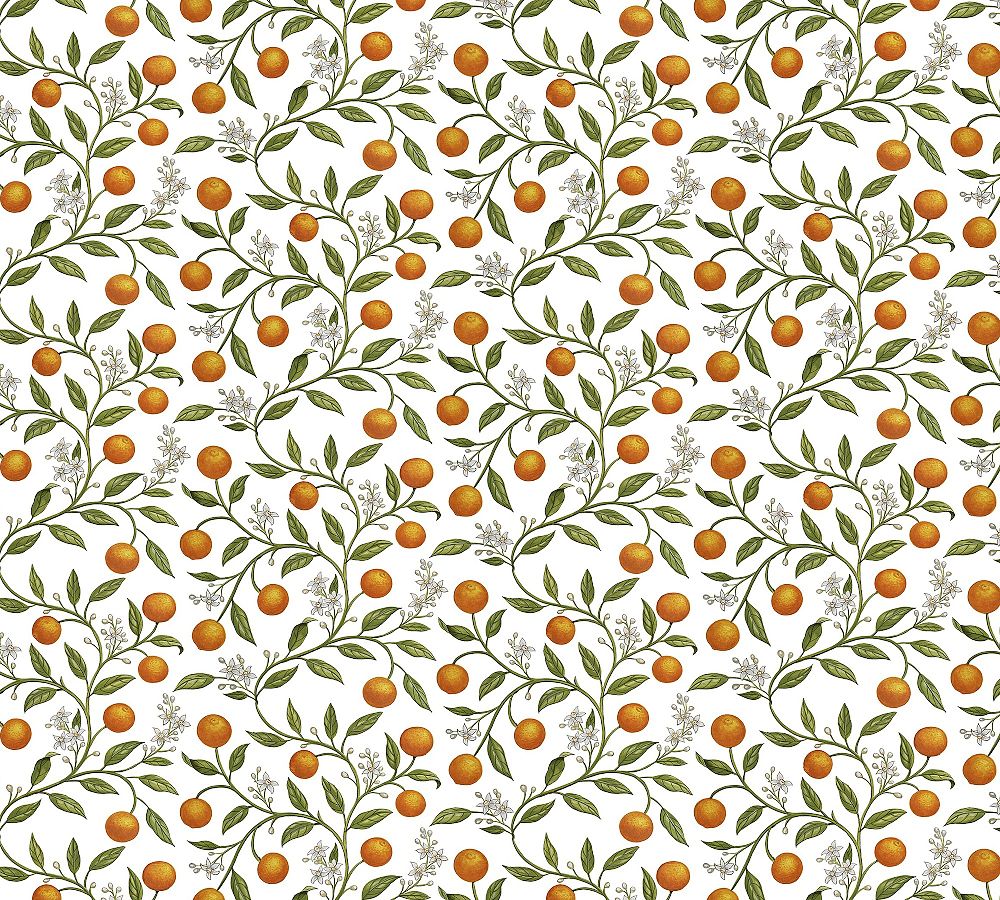 Mark D. Sikes Valencia Vine Wallpaper Sample
