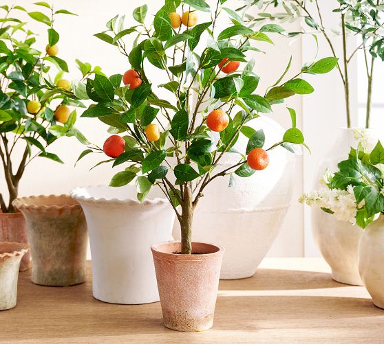 Faux Potted Orange Topiary
