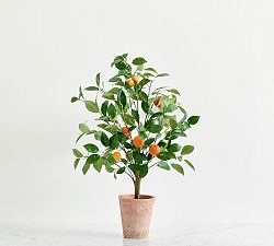 Open Box: Orange Topiary, 30"