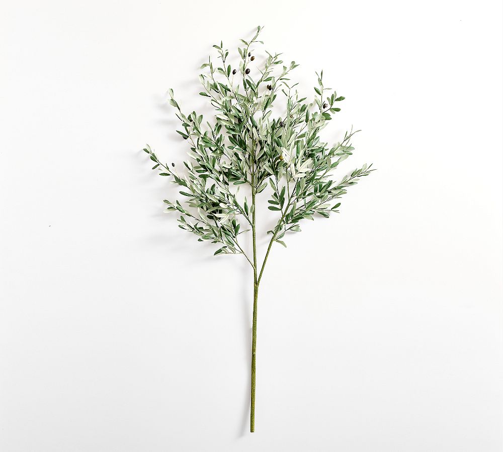 Open Box: Traditional Faux Olive Branch, 56"
