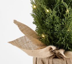 Faux Lit Topiary Pine Tree
