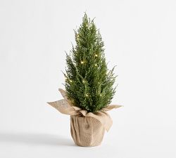Faux Lit Topiary Pine Tree