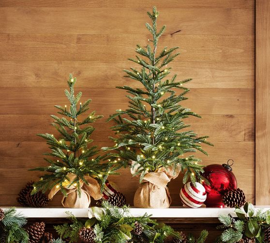 Christmas Tree Shop All Christmas | Pottery Barn