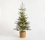 Lit Pine Tree in Basket