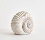 Decorative Spiral Shell