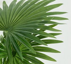 Faux Potted Fan Palm