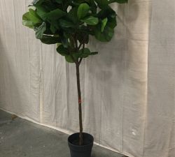 Open Box: Faux Potted Fiddle Leaf Fig Tree, Large, 8'
