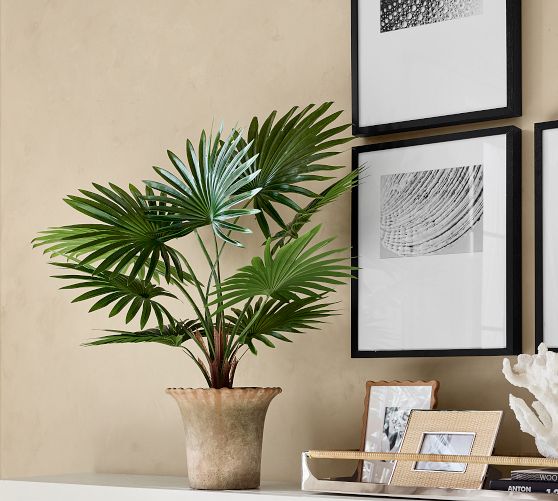 Faux Potted Fan Palm
