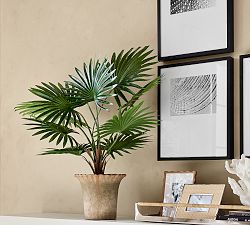 Faux Potted Fan Palm