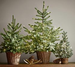 Faux Lit Blue Spruce Tree