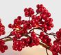 Lit Red Berry Garland