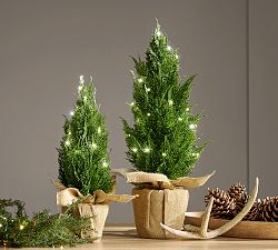 Faux Lit Topiary Pine Tree