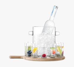 Party Paddle 12 Shot Glass Set with Ice Bucket