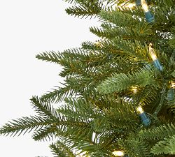 Lit Cambridge Fir Faux Christmas Tree