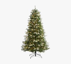 Lit Flocked Grand Teton Faux Christmas Tree