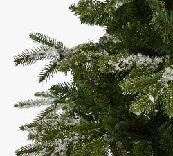 Lit Flocked Grand Teton Faux Christmas Tree