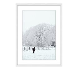 Winter Stallion Framed Print