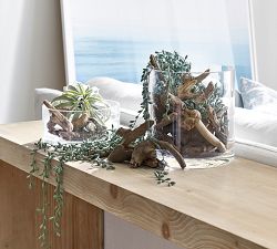 Driftwood Vase Filler