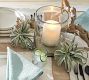 Recycled Glass Display Hurricane Candle Holder