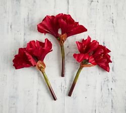Faux Amaryllis Bouquet