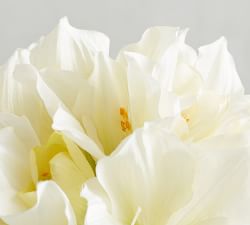 Faux Amaryllis Bundle - White