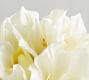 Faux Amaryllis Bundle - White