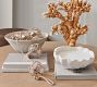 Artisan Studio Shell Candle Collection - White Fig