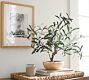 Faux Potted Olive Houseplant