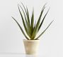 Faux Speckled Aloe Vera Plant In Terracotta Pot