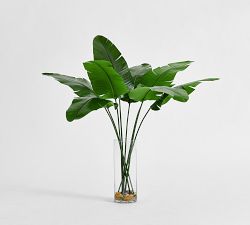 Glass Potted Banana Leaf Houseplant